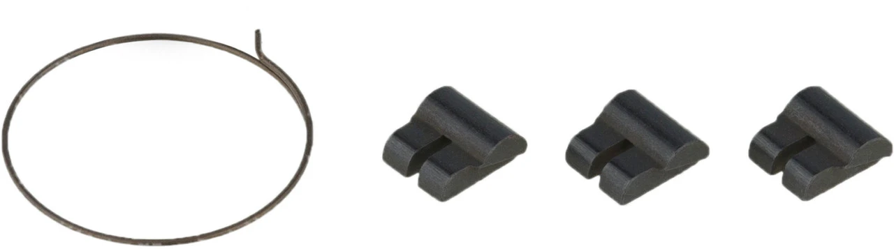 Campagnolo® Cliquets + Ressort Pour Corps De Roue Libre 3 Campagnolo® Cliquets + Ressort Pour Corps De Roue Libre