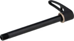 Dt-swiss Axe Traversant RWS Road Avec Broche De Serrage Rapide 12 Dt-swiss Axe Traversant RWS Road Avec Broche De Serrage Rapide -Accessoires De Vélo 348243