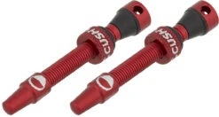 CUSHCORE Set De 2 Valves Tubeless 44 Mm 20 CUSHCORE Set De 2 Valves Tubeless 44 Mm -Accessoires De Vélo 425152