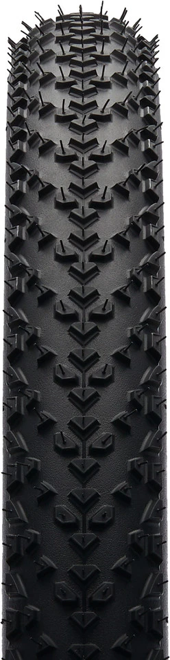 Continental Pneu Souple Race King ProTection 26" - Édition Bernstein 6 Continental Pneu Souple Race King ProTection 26" - Édition Bernstein – Image 4